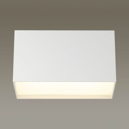 Потолочный светодиодный светильник Odeon Light 4232/20CL Roxy