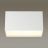 Потолочный светодиодный светильник Odeon Light 4232/20CL Roxy