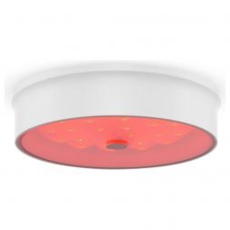 Потолочный светодиодный светильник Freya Cells FR10011CL-L24W