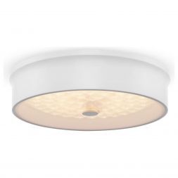 Потолочный светодиодный светильник Freya Cells FR10011CL-L24W