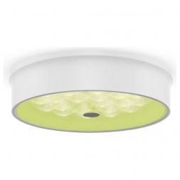 Потолочный светодиодный светильник Freya Cells FR10011CL-L24W