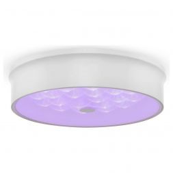 Потолочный светодиодный светильник Freya Cells FR10011CL-L24W