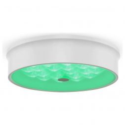 Потолочный светодиодный светильник Freya Cells FR10011CL-L24W