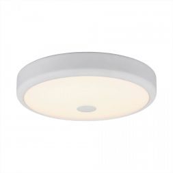 Потолочный светильник Citilux CL706130