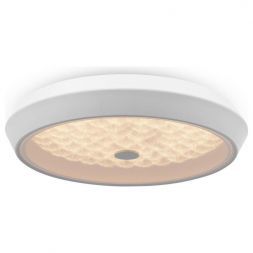 Потолочный светодиодный светильник Freya Cells FR10012CL-L24W