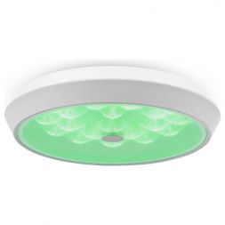 Потолочный светодиодный светильник Freya Cells FR10012CL-L24W