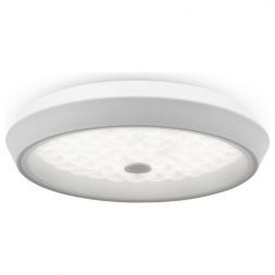 Потолочный светодиодный светильник Freya Cells FR10012CL-L24W