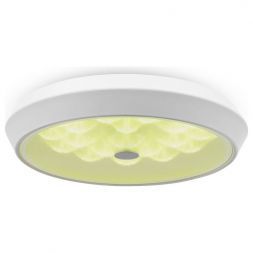 Потолочный светодиодный светильник Freya Cells FR10012CL-L24W