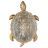 Настенный светодиодный светильник Favourite Turtle 2254-1W