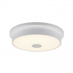 Потолочный светильник Citilux CL706220