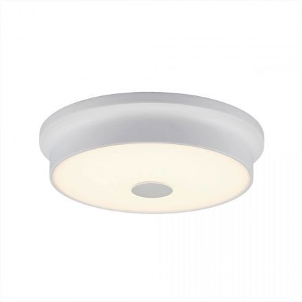 Потолочный светильник Citilux CL706220