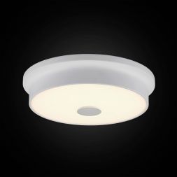 Потолочный светильник Citilux CL706220