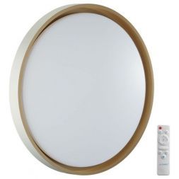 Настенно-потолочный светодиодный светильник Sonex Color Kisil 7645/EL
