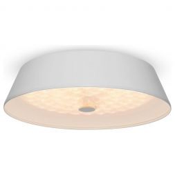 Потолочный светодиодный светильник Freya Cells FR10013CL-L24W