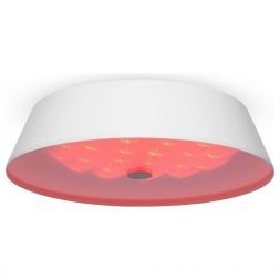 Потолочный светодиодный светильник Freya Cells FR10013CL-L24W