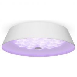 Потолочный светодиодный светильник Freya Cells FR10013CL-L24W