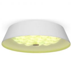 Потолочный светодиодный светильник Freya Cells FR10013CL-L24W