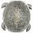 Настенный светодиодный светильник Favourite Turtle 2255-1W