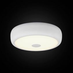 Потолочный светильник Citilux CL706310
