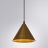 Подвесной светильник Arte Lamp David A7033SP-1BK