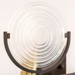 Спот Citilux CL445321 Тесла