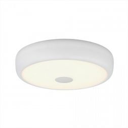 Потолочный светильник Citilux CL706320