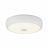 Потолочный светильник Citilux CL706320