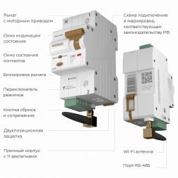 Умный автоматический выключатель 1 P 63 A C 6 kA W1001P6301 Werkel