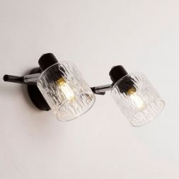 Спот Citilux CL510525 Артик