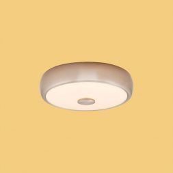 Потолочный светильник Citilux CL706321