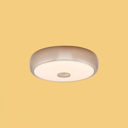 Потолочный светильник Citilux CL706321