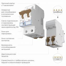Автоматический выключатель 2P 10 A C 6 кА Werkel W902P106