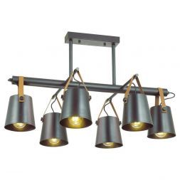 Потолочная люстра Lumion 3641/6C
