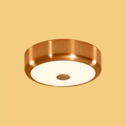 Настенно-потолочный светильник Citilux CL706112