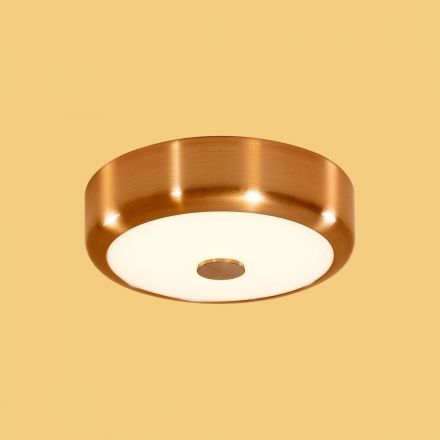 Настенно-потолочный светильник Citilux CL706112