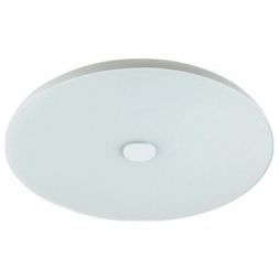 Потолочный светодиодный светильник Сонекс Roki Muzcolor 4629/EL