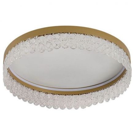 Потолочный светодиодный светильник F-Promo Lunetta 4186-1C