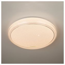 Светодиодный потолочный светильник Eurosvet 40007/1 LED белый