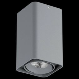 Потолочный светодиодный светильник Lightstar 052339