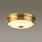Настенно-потолочный светильник Odeon Light 4824/3C Marsei
