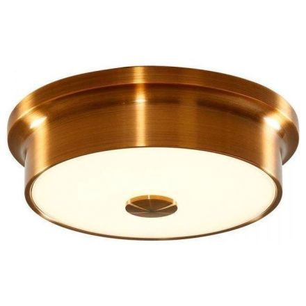 Настенно-потолочный светильник Citilux CL706212