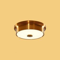 Настенно-потолочный светильник Citilux CL706212
