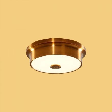 Настенно-потолочный светильник Citilux CL706212