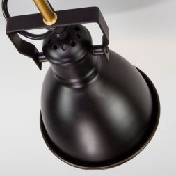 Потолочная люстра Eurosvet 70112/8 черный