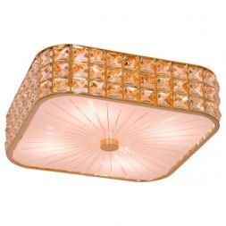 Светильник настенно-потолочный Citilux CL324242