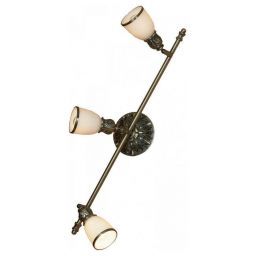 Спот Lussole GRLSL-7301-03 (LUSSOLE GRLSL-7301-03)