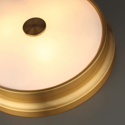 Настенно-потолочный светильник Odeon Light 4824/4C Marsei