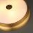 Настенно-потолочный светильник Odeon Light 4824/4C Marsei