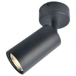 Светильник потолочный Arte Lamp A3216PL-1BK