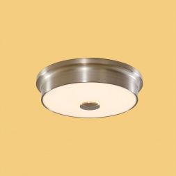 Настенно-потолочный светильник Citilux CL706221